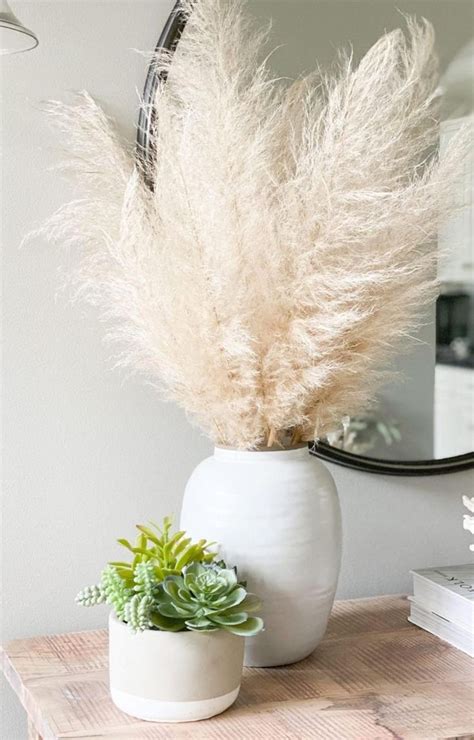 White Pampas Grass Large And Fluffy Pampas Grass These Etsy Floor