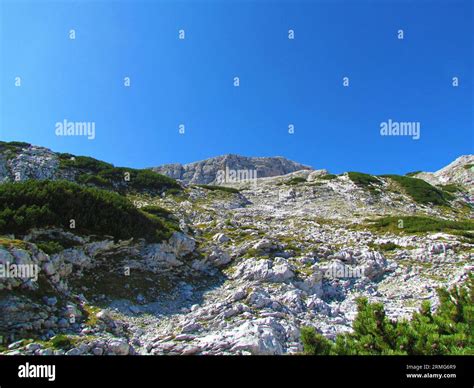 High Alpine Rocky Landscape Bellow Skrlatia Mountain Sparsely Covered