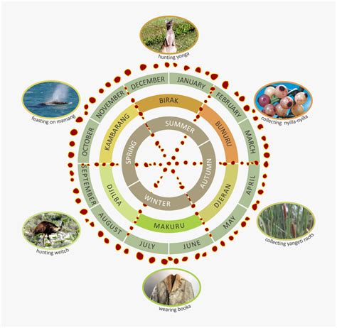 Seasons Png, Transparent Png , Transparent Png Image - PNGitem