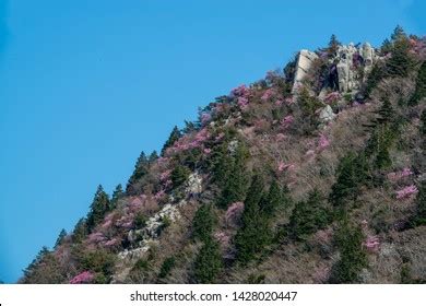 3 Suzuka Mountain Range Images, Stock Photos & Vectors | Shutterstock