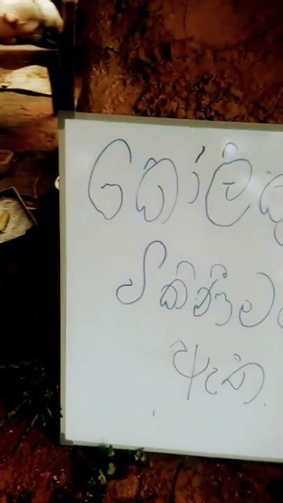 අකුරක් අඩු උනත් කෝලිකුට්ටු කියලා කියවෙන්නැද්ද බලන්න😎🖤 Shortvideo