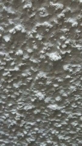 My friend's shitty stucco ceiling paint sort of looks like a cat. : r/mildlyinteresting