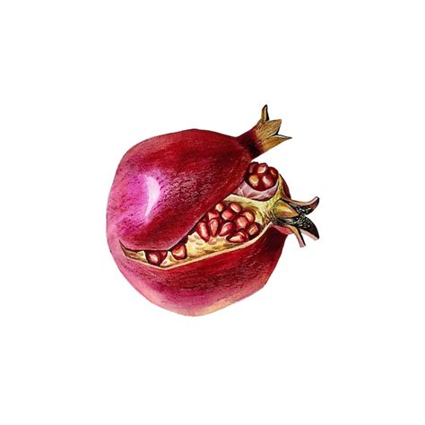 Premium Photo Ripe Pomegranate Bursting Watercolor Illustration