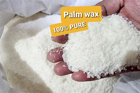 Pure Palm Wax Kg Lazada Ph