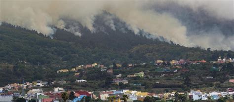 El Incendio De Tenerife Est Fuera De Capacidad De Extinci N Y Bajo