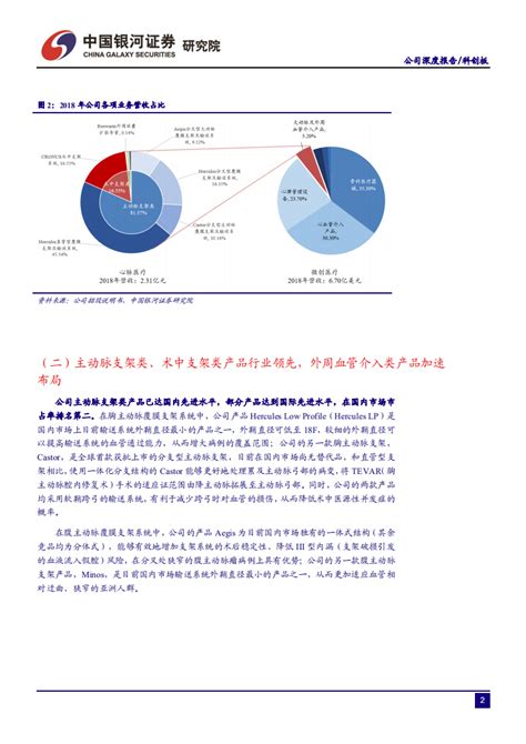 科创板医药生物行业公司系列研究：心脉医疗 190719pdf 先导研报