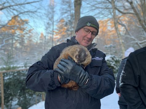 N.S. groundhog, lobster agree there will be 6 more weeks of winter ...