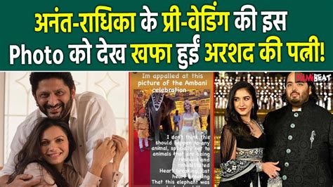 Anant Ambani और Radhika के Pre Wedding को देख नाराज़ हुईं Arsad Warsi की पत्नी बोलीं दिल टूट