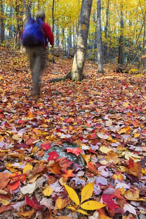 Fall Hiking