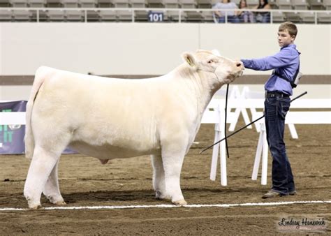 2019 Indiana State Fair Competitive Edge Genetics