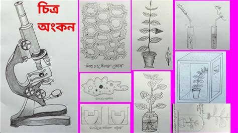 SSC Biology Practical Drawing Class 10 Ssc 2022 জববজঞন