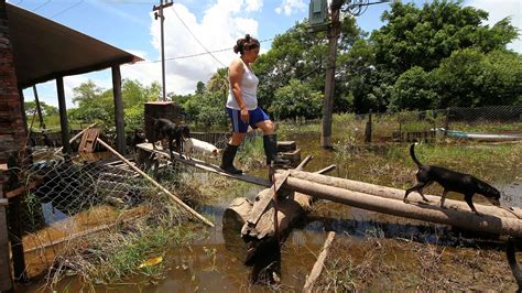 Emiten Una Alerta Hidrológica Por La Crecida Del Río Paraná Infobae