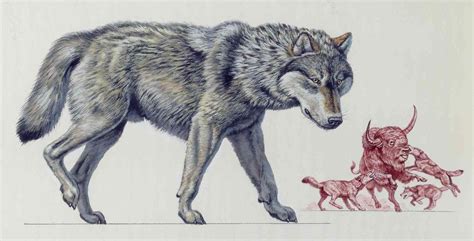 Dire Wolves - Dire Wolf Facts: Extinct Animals of the World ...