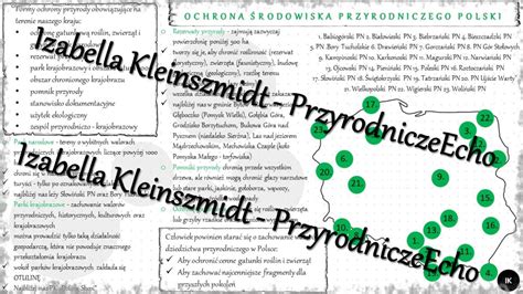 Sketchnotka notatka Ochrona środowiska przyrodniczego Polski