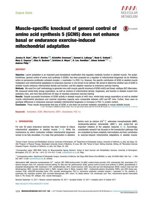 PDF Muscle Specific Knockout Of General Control Of Amino Acid