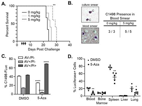 Cancers Free Full Text Azacytidine Mediated Modulation Of The