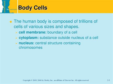 Body Structure Color And Oncology Ppt Download