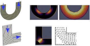 Curvature Mediated Programming Of Liquid Crystal Microflows Soft