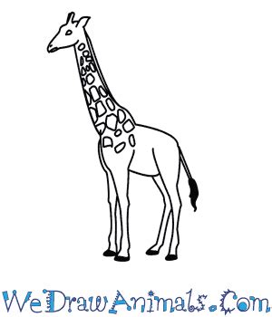 Easy Baby Giraffe Drawing