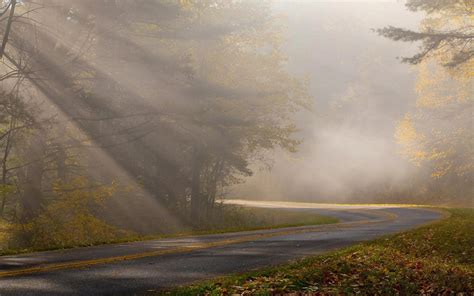 Misty Forest Road Wallpapers - Wallpaper Cave