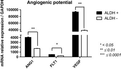 Angiogenic potential of ALDH⁺ and ALDH⁻ AT-MSCs. After sorting ALDH⁺... | Download Scientific ...