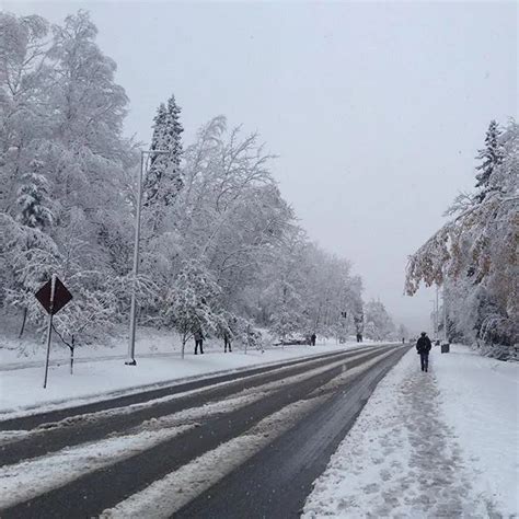 Nevicata storica in Alaska mai così tanta neve nella storia a