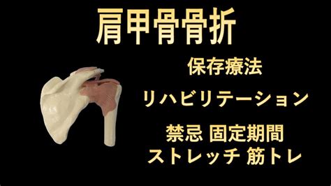 肩甲骨骨折の保存療法におけるリハビリテーション 固定期間は？禁忌は筋トレは？ストレッチは？ Youtube