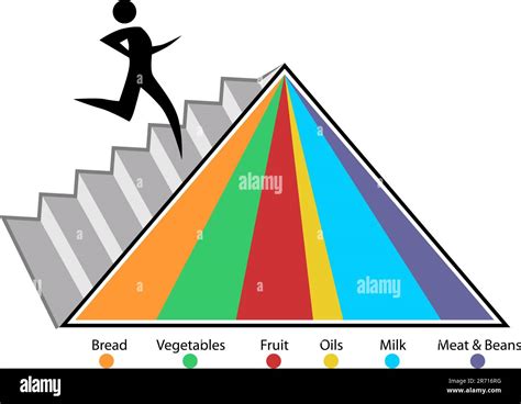 An Image Of A Food Pyramid Chart Stock Vector Image And Art Alamy