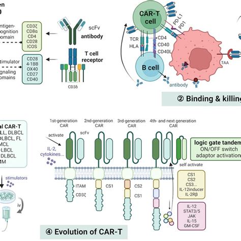 Mechanisms And Development Of Car T And Tcr T Download Scientific Diagram