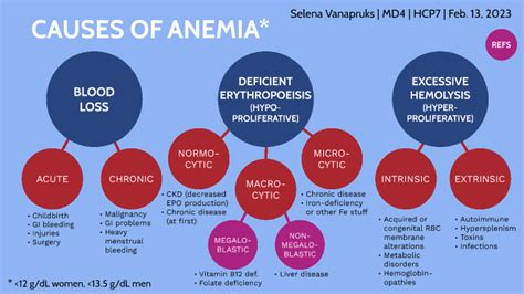 causes of anemias by Selena Vanapruks on Prezi