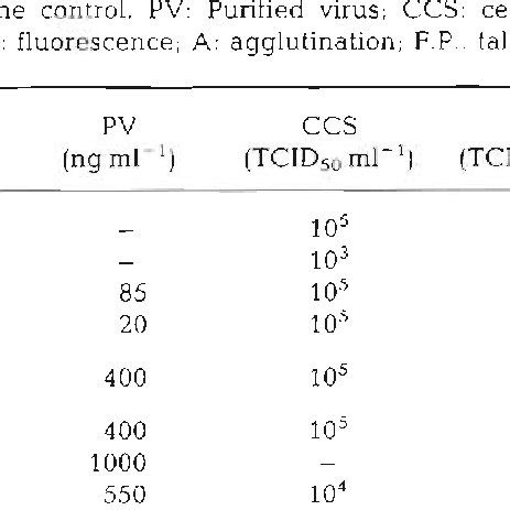 VHSV Infected Epithelium Papillosum Carp EPC Cells Stained By