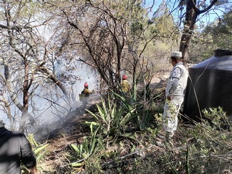 Extinguidos Dos Incendios Forestales En Tamaulipas Tras Esfuerzos