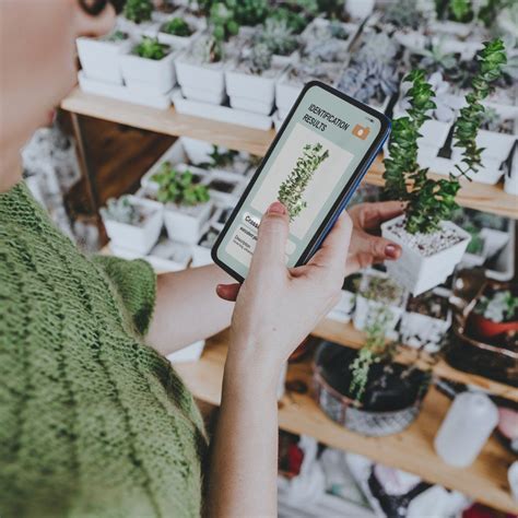 Best Plant Identification App Accurate Tools To Id Plants