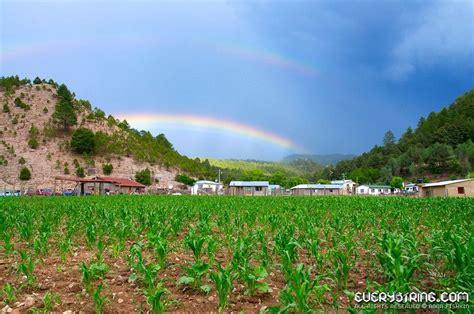 Chihuahua Mexico Weather Today - Pets Lovers