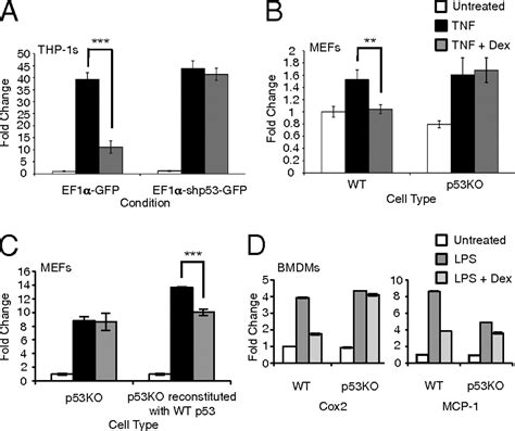 Tumor Suppressor Protein P Is A Regulator Of Nf B Repression By