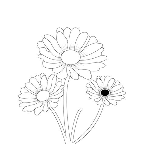 Gerber Daisy Coloring Page