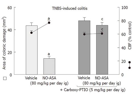 Nitric Oxide Releasing Aspirin But Not Conventional Aspirin Improves