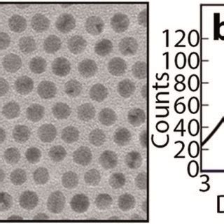 A TEM Image Of Au NPs Obtained In SSP By Collecting The Resulting