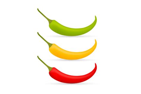 Hot Chilli Pepper Vector Set Isolated Graphic By DG Studio Creative