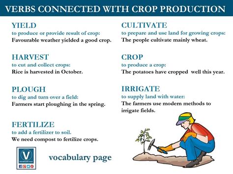 Verbs Connected With Crop Production English Phrases Learn English