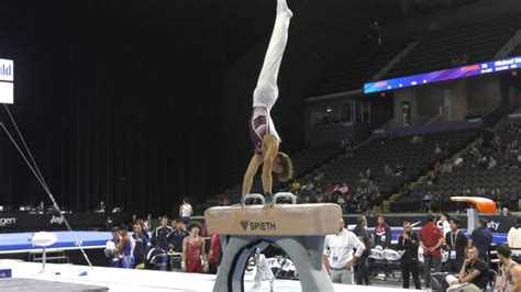 Pommel Horse Definition & Meaning - From History to Heights - Sposci