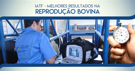 Curso De Insemina O Artificial Em Tempo Fixo Em Bovinos Iatf Avan Ado