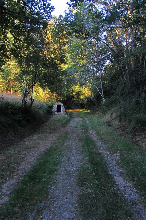 20120920 23 029 Jakobus Weg Wald Schutzhütte Bernd Brang Flickr