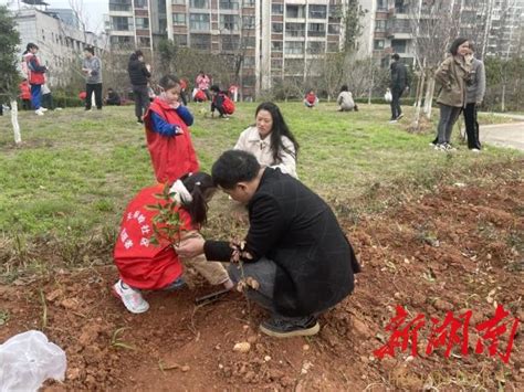 长沙天际岭社区：党建引领植绿意，不负春光志愿行 社区播报 新湖南