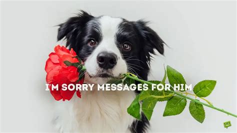 40 I M Sorry Messages For Him To Help Mend Your Relationship