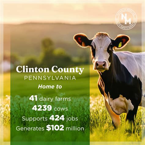 Nicholas Meat LLC | Loganton PA