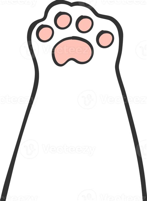 süß Kätzchen Katze Pfote Hand Zeichnung Gekritzel 21434795 PNG