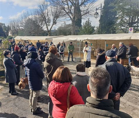 L Agenda Di Siena News Torrita Di Siena Celebra Santantonio Siena News