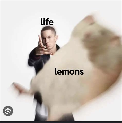 When life gives you lemons. | /r/memes | Eminem Throwing Things | Know Your Meme