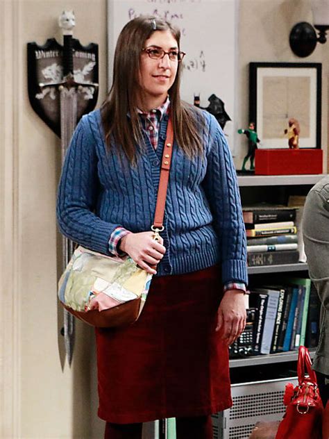 The Big Bang Theory Amy Farrah Fowler Seguroce